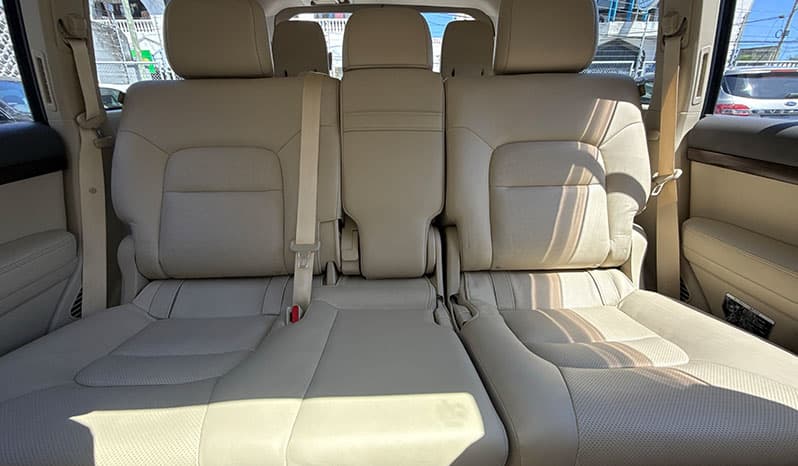 2018 Toyota Land Cruiser image-13