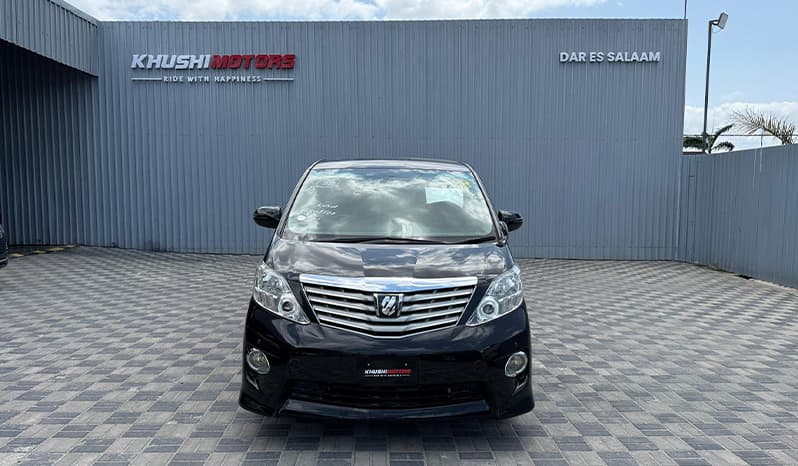 2010 Toyota Alphard image-8