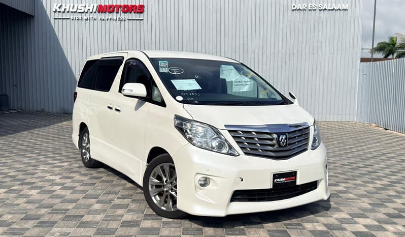 2010 Toyota Alphard image-1