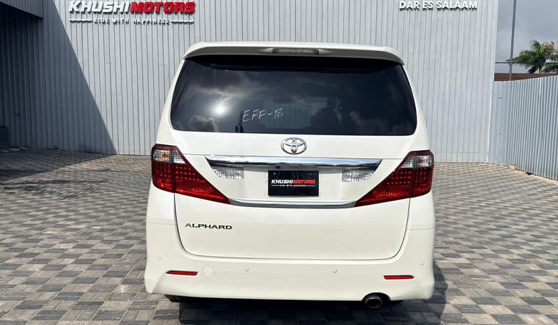 2010 Toyota Alphard image-12