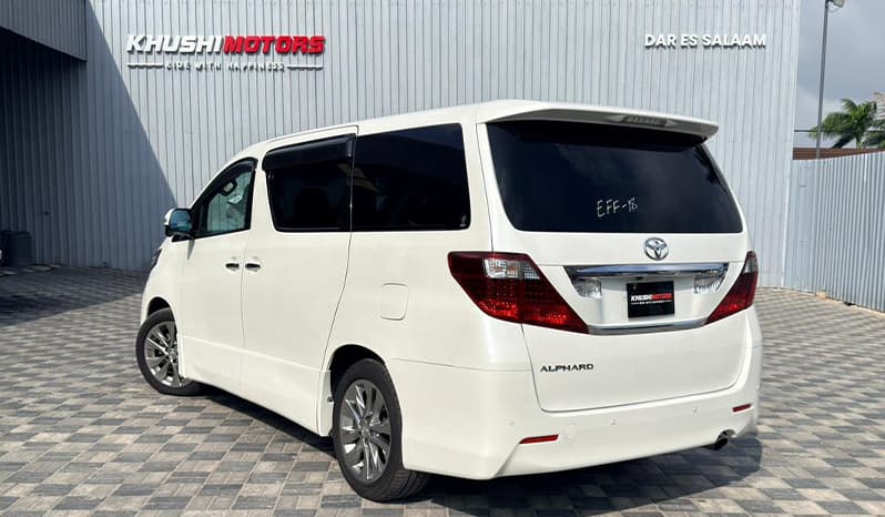 2010 Toyota Alphard image-13