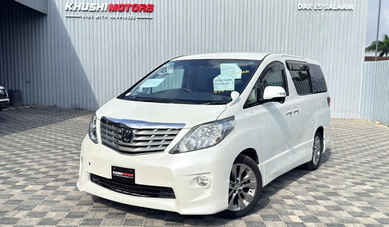 2010 Toyota Alphard image-14