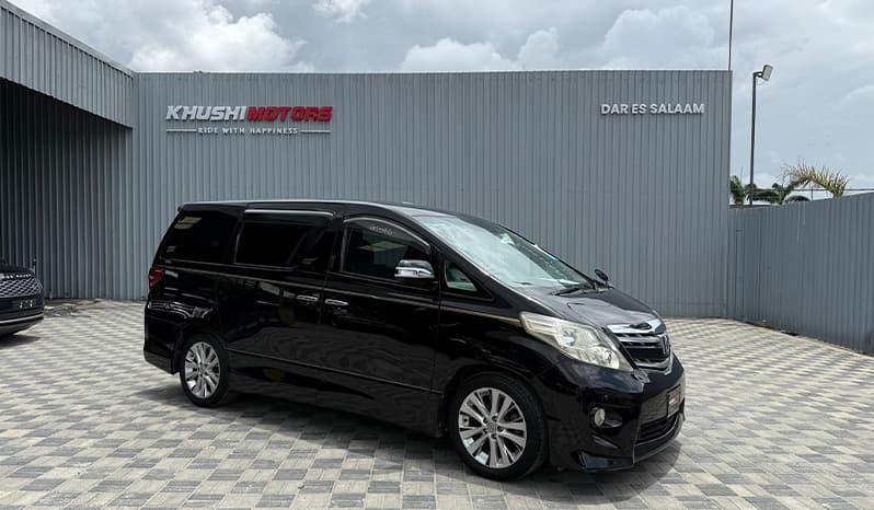 2008 Toyota Alphard image-1