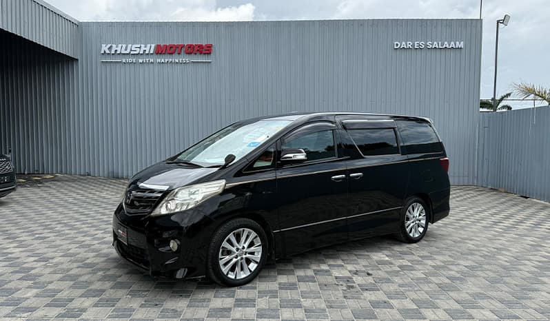2008 Toyota Alphard image-9