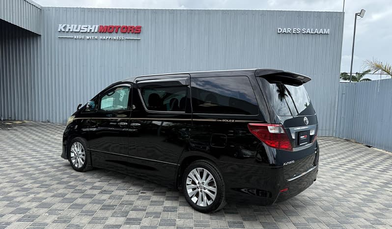 2008 Toyota Alphard image-10