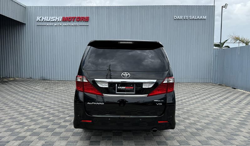2008 Toyota Alphard image-11