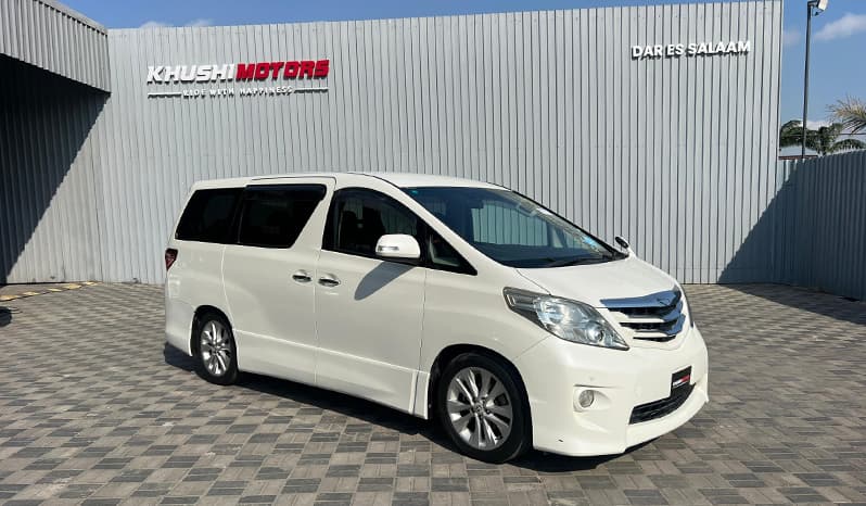 2008 Toyota Alphard image-1