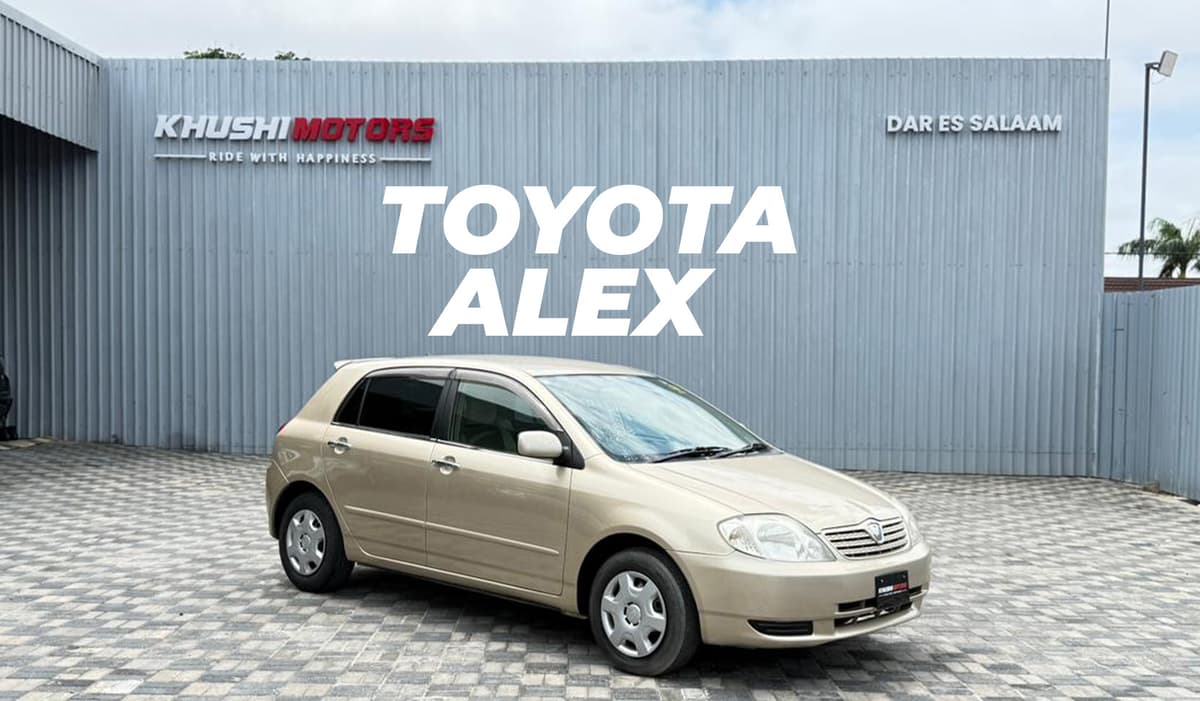2002 Toyota Alex image-1