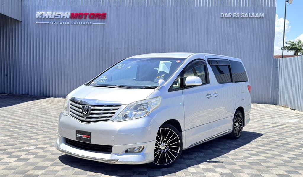 2008 Toyota Alphard image-19
