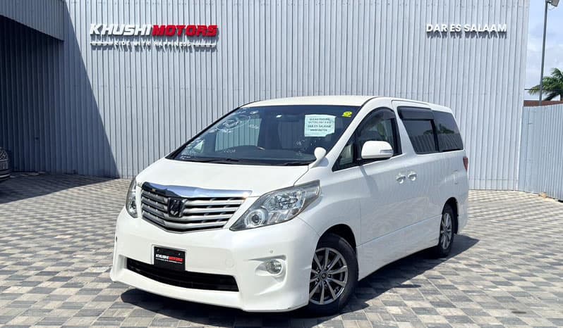 2008 Toyota Alphard image-25