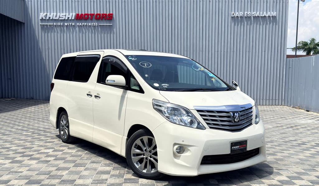 2010 Toyota Alphard image-1