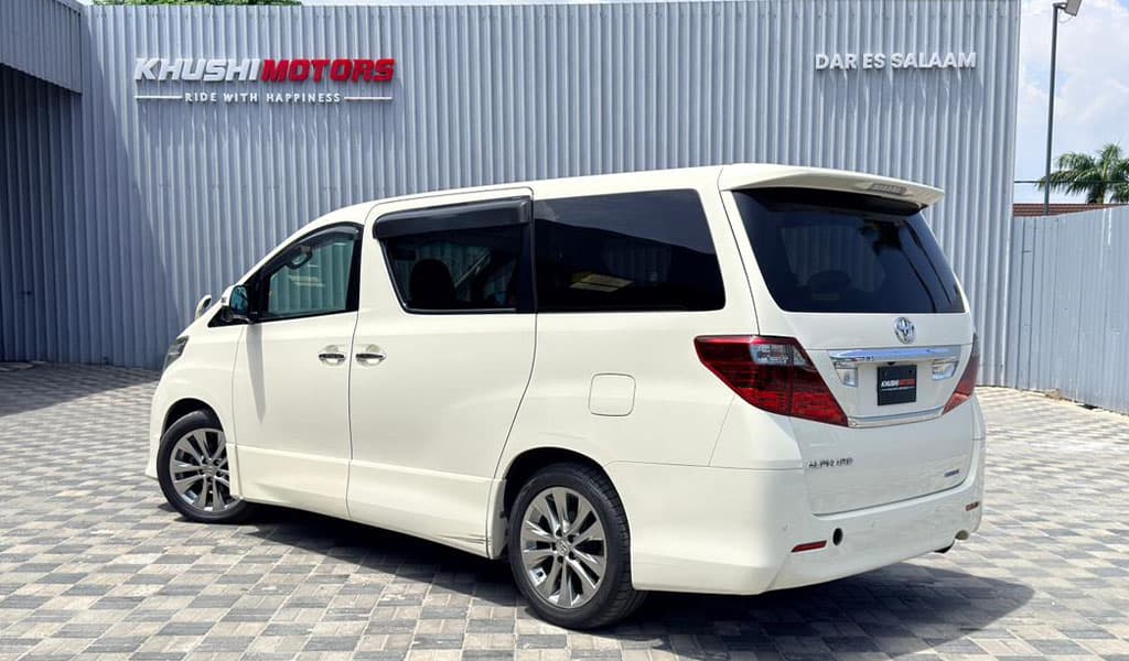 2010 Toyota Alphard image-16
