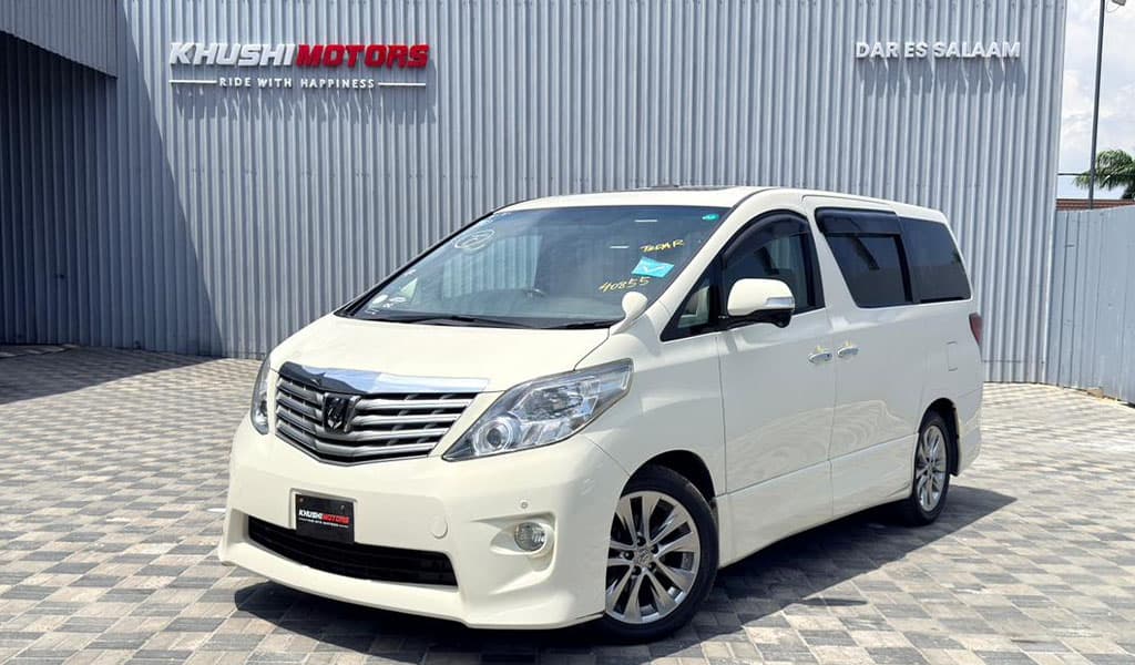 2010 Toyota Alphard image-17