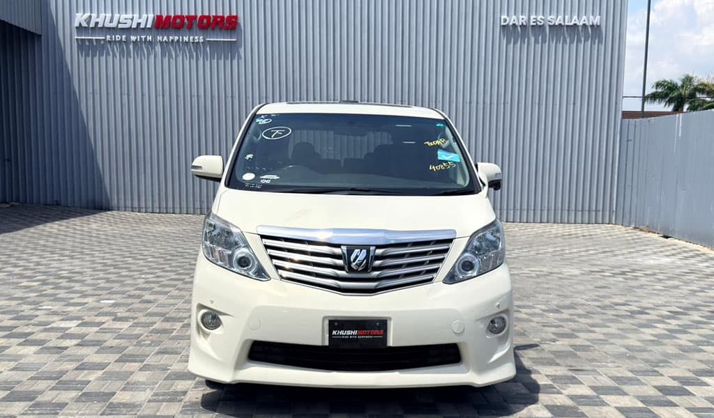 2010 Toyota Alphard image-18