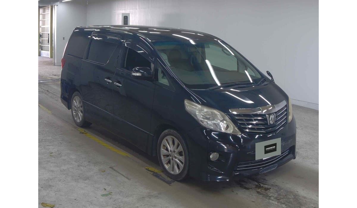 2009 Toyota Alphard image-1