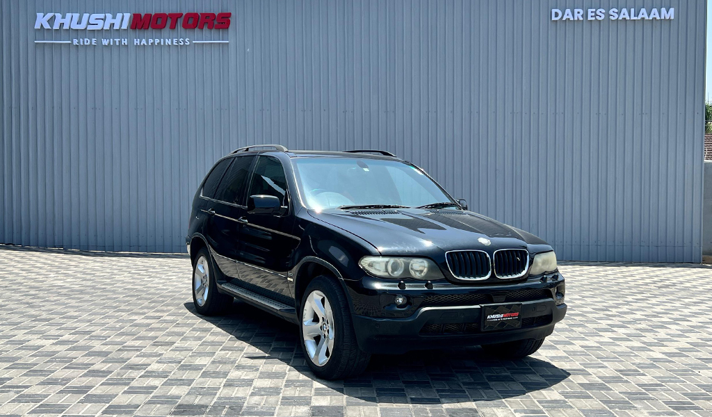 2005 Bmw X Series X5 image-1