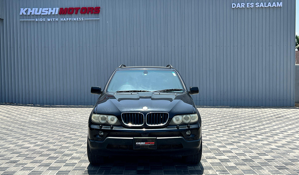 2005 Bmw X Series X5 image-3