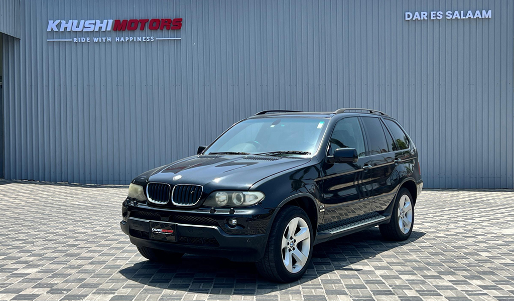 2005 Bmw X Series X5 image-2