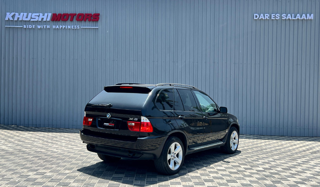 2005 Bmw X Series X5 image-4