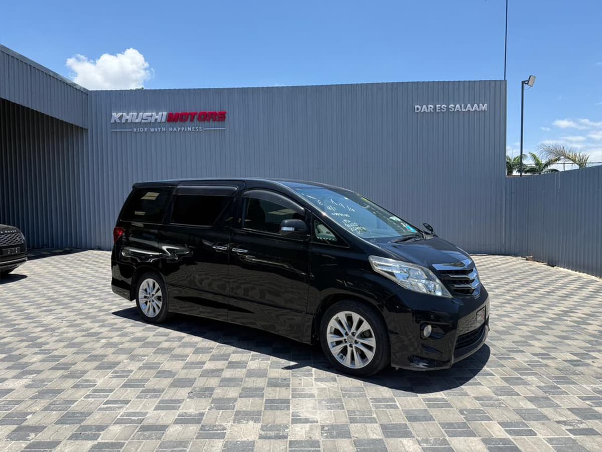 2010 Toyota Alphard S image-1