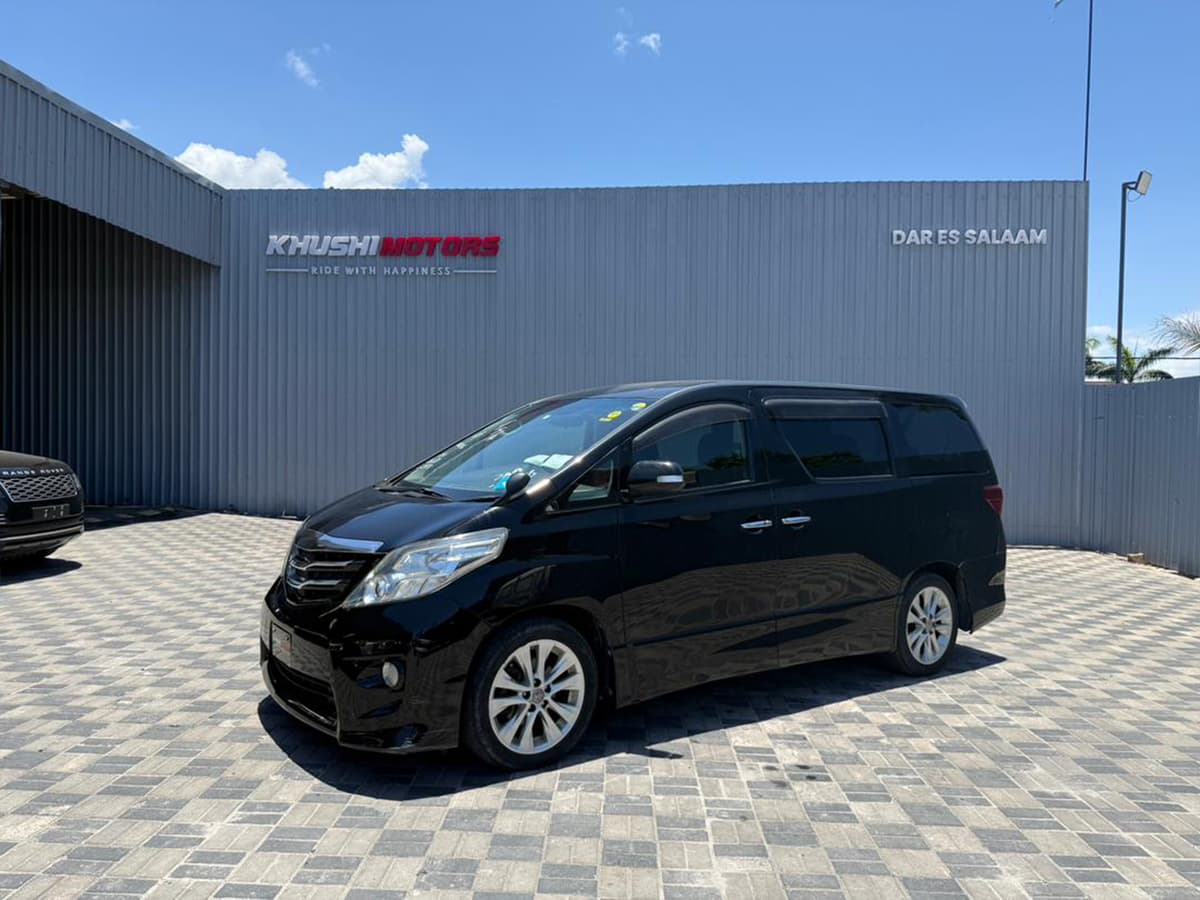 2010 Toyota Alphard S image-3