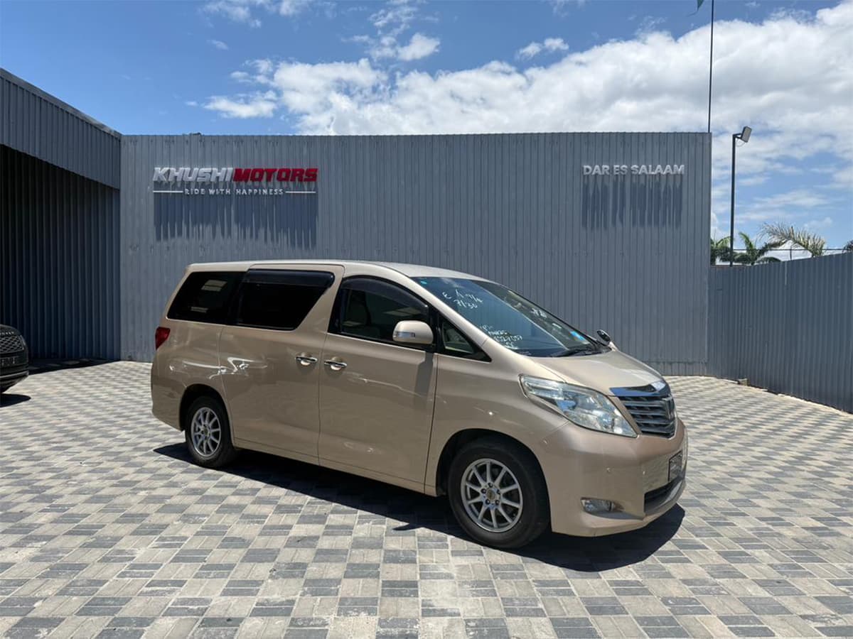 2010 Toyota Alphard X image-1