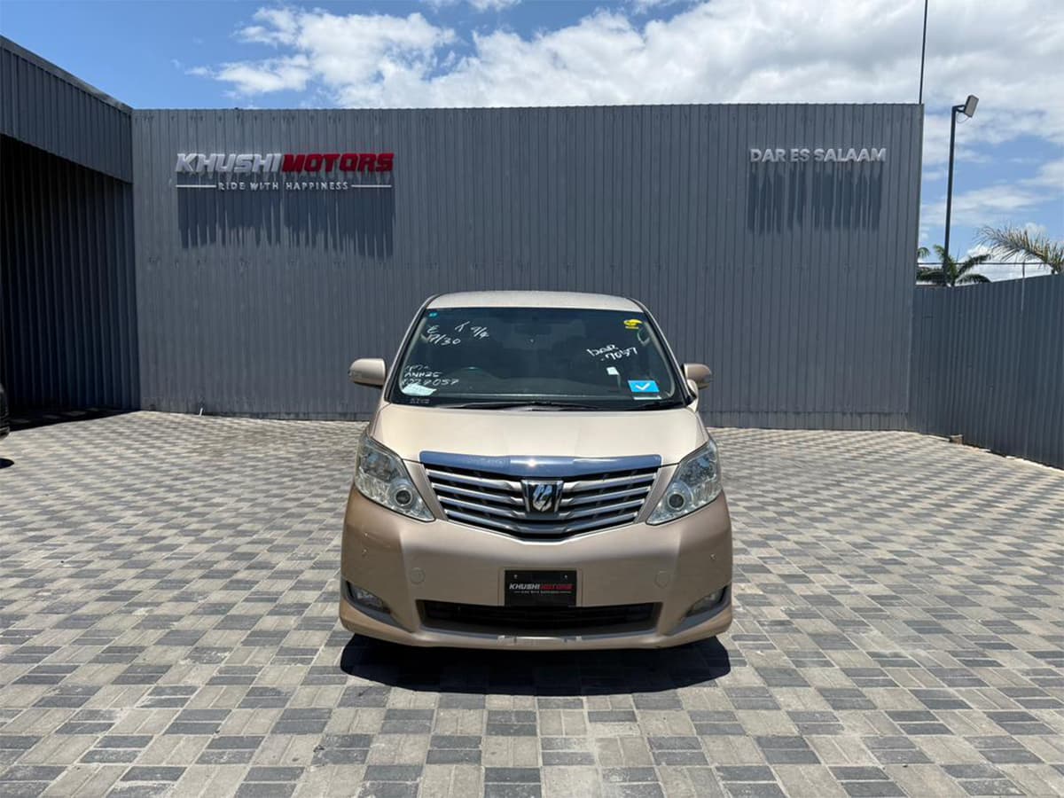 2010 Toyota Alphard X image-2