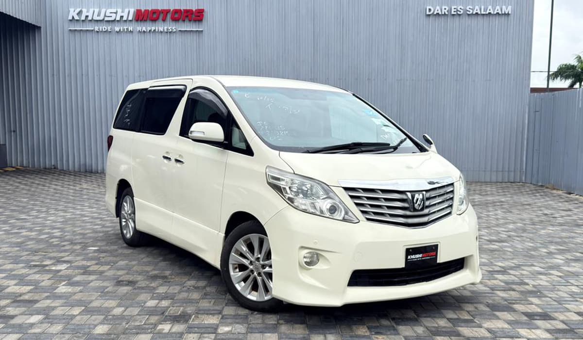 2009 Toyota Alphard S image-1