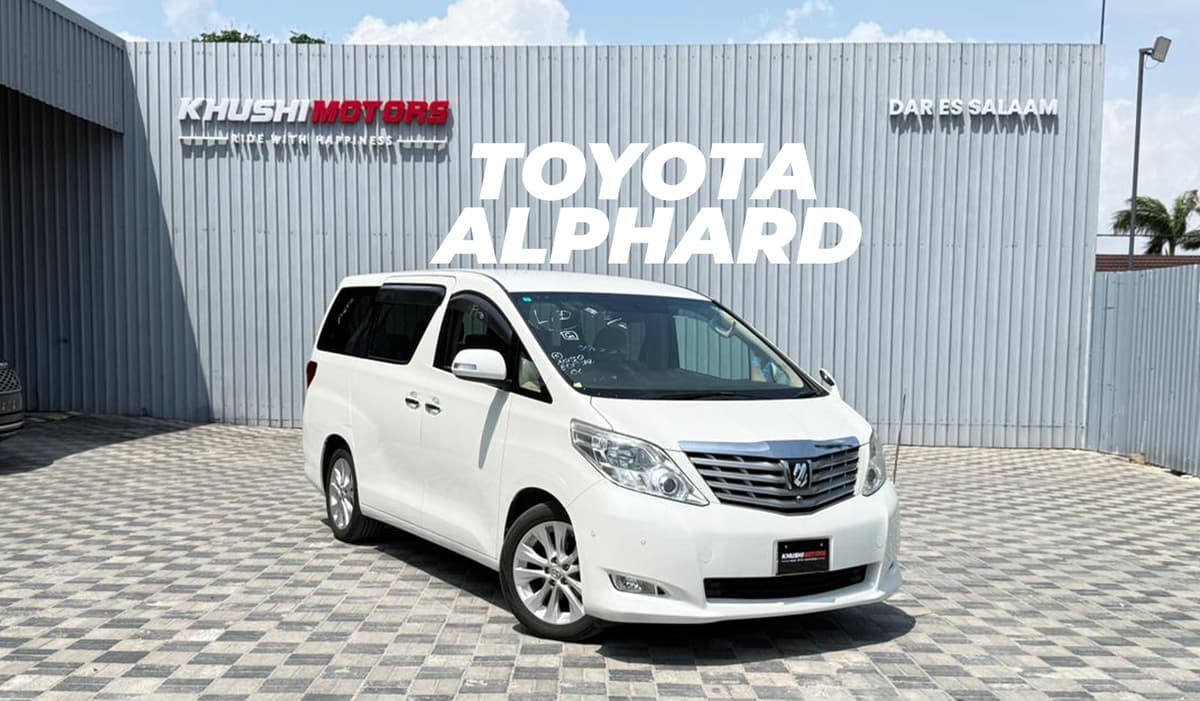 2008 Toyota Alphard X image-1