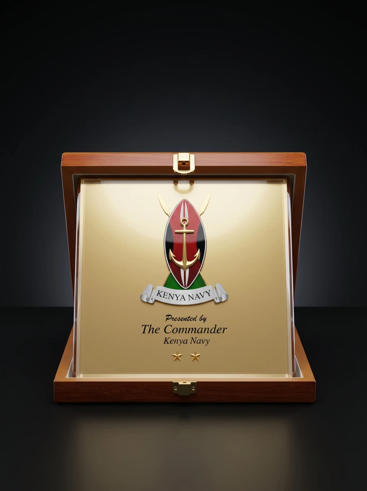 Kenya Navy