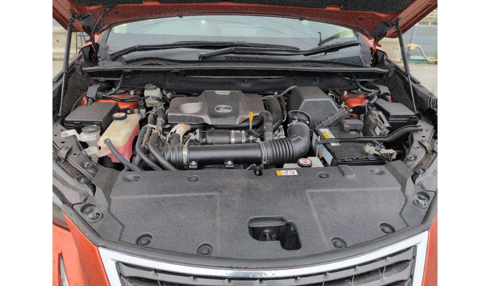 2019 Lexus Nx300 VERSION L image-8
