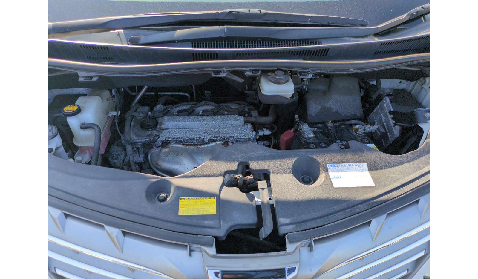 2008 Toyota Alphard 240G image-12