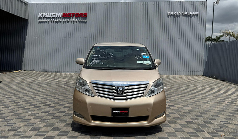 2010 Toyota Alphard image-8