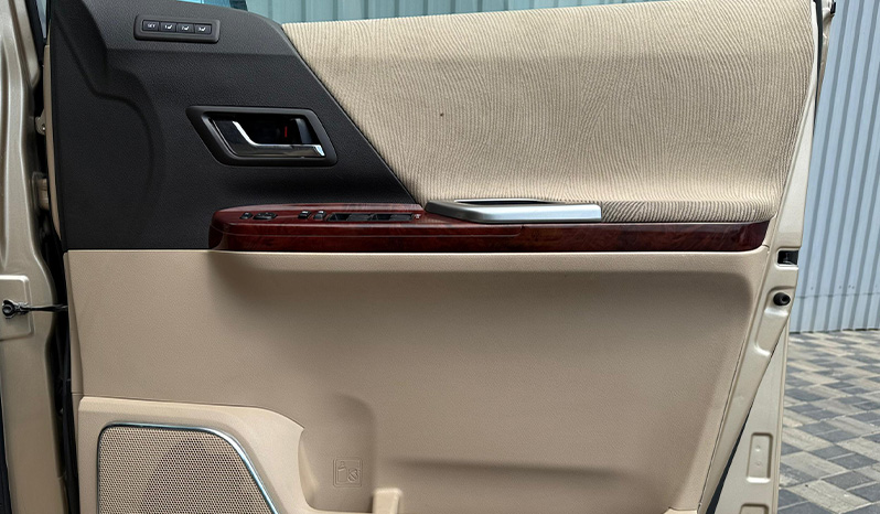 2010 Toyota Alphard image-16