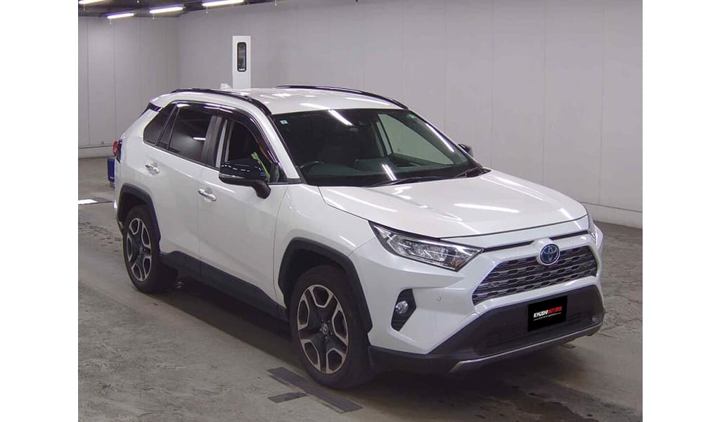 2019 Toyota RAV4 image-1