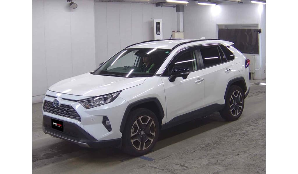 2019 Toyota RAV4 image-2