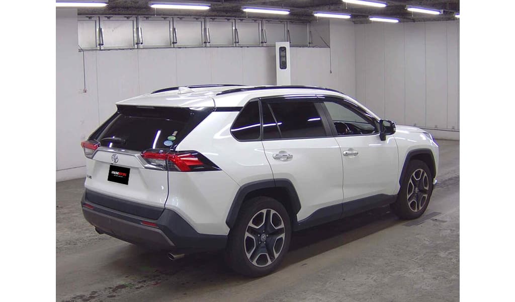 2019 Toyota RAV4 image-4