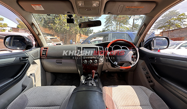 2009 Toyota Hilux Surf image-19