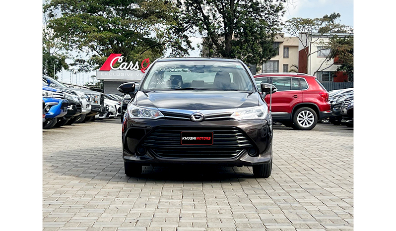 2016 Toyota Axio G image-1