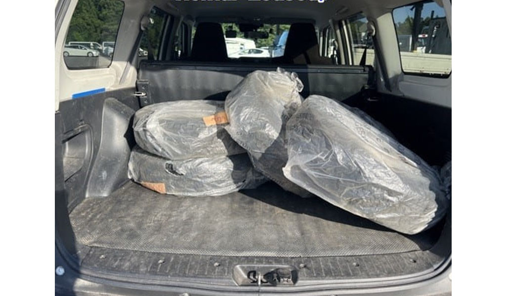 2019 Toyota Succeed image-5