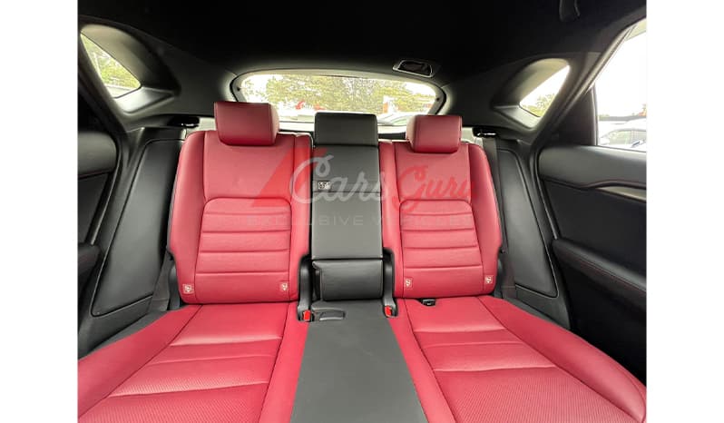 2016 Lexus NX NX300H image-10