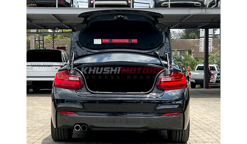 2017 Bmw 2 Series Cupe M Sport 220i image-11