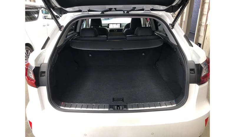 2018 Lexus RX300 image-7