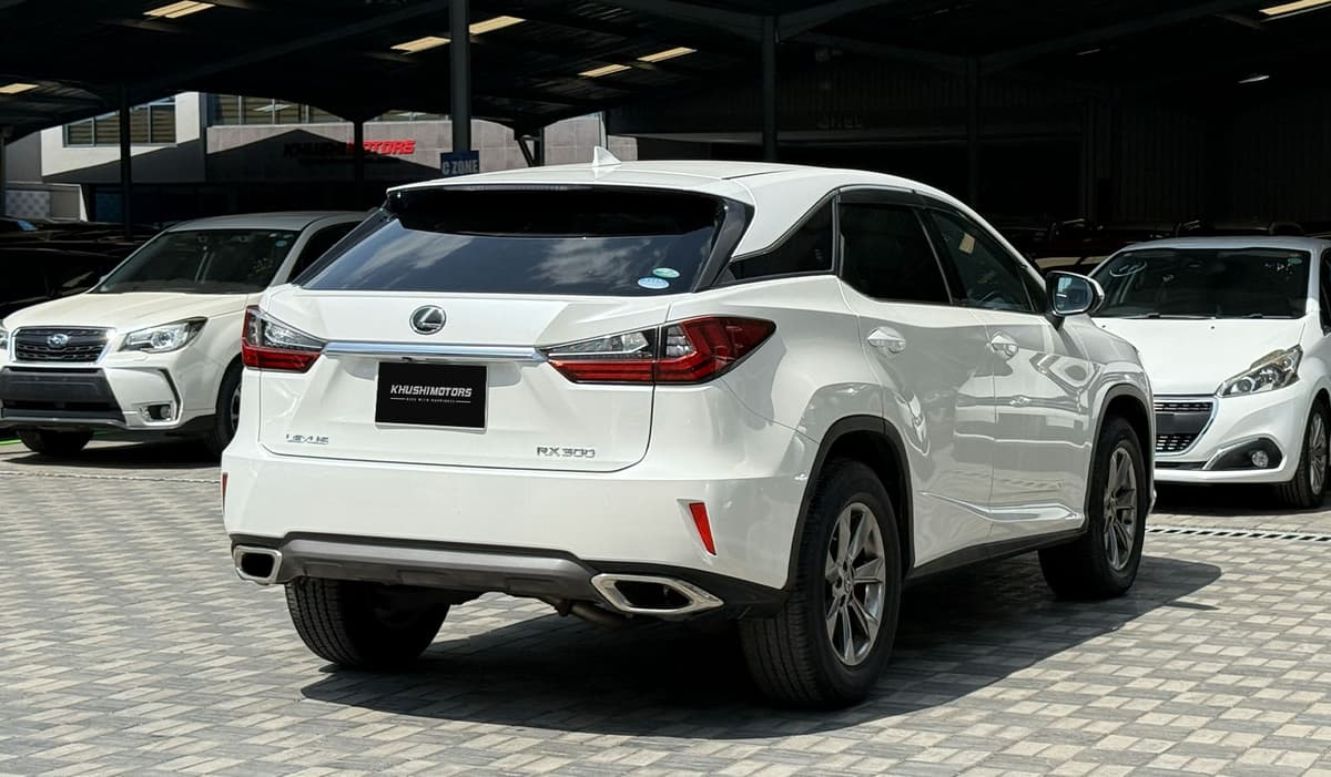 2018 Lexus RX300 image-14