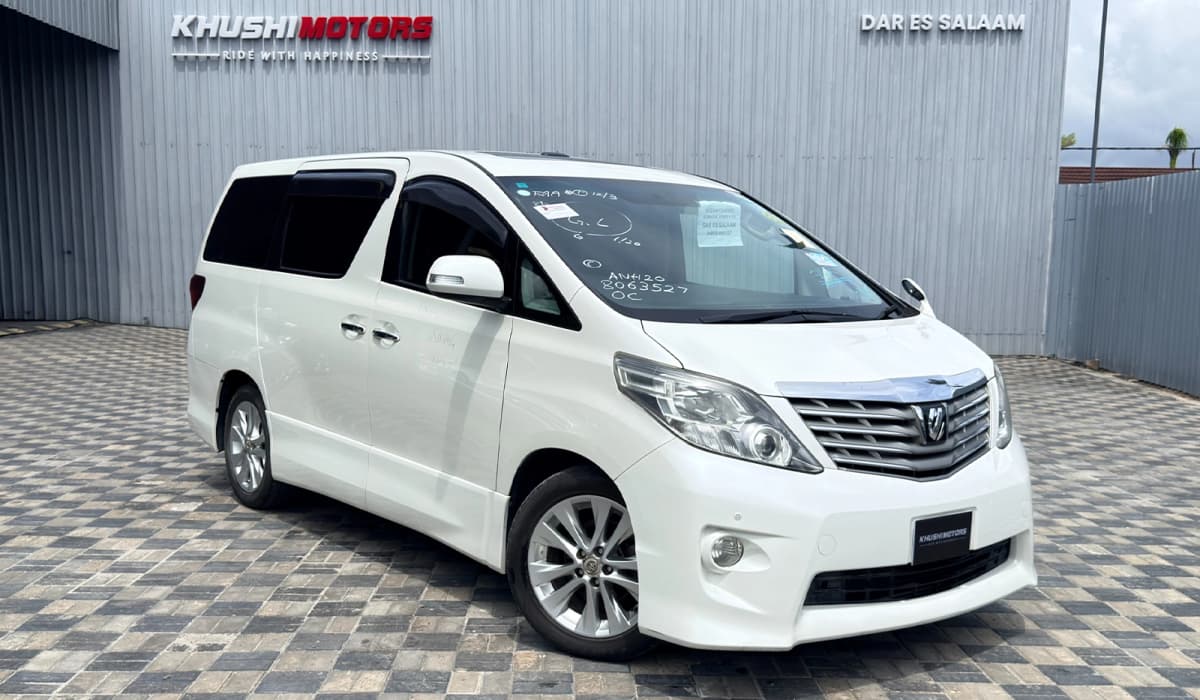 2009 Toyota Alphard image-1