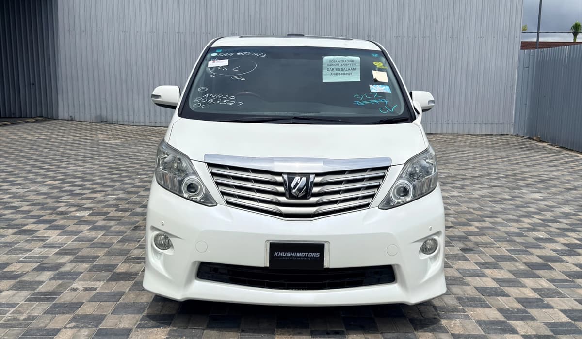 2009 Toyota Alphard image-12