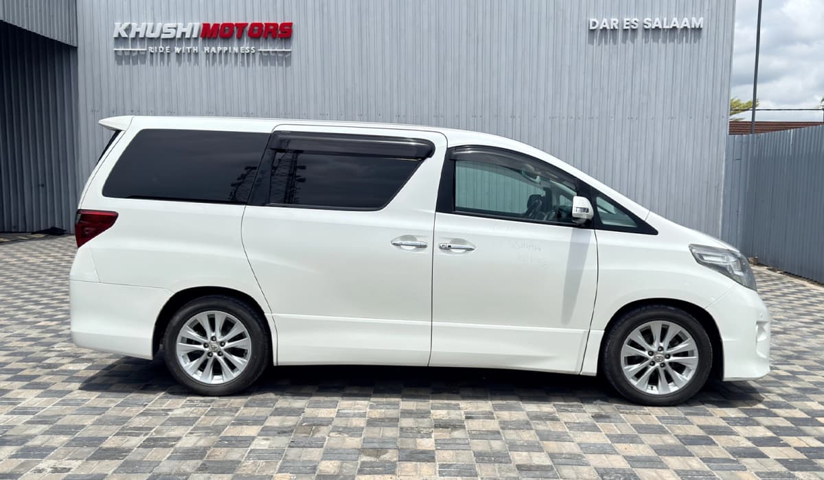 2009 Toyota Alphard image-13