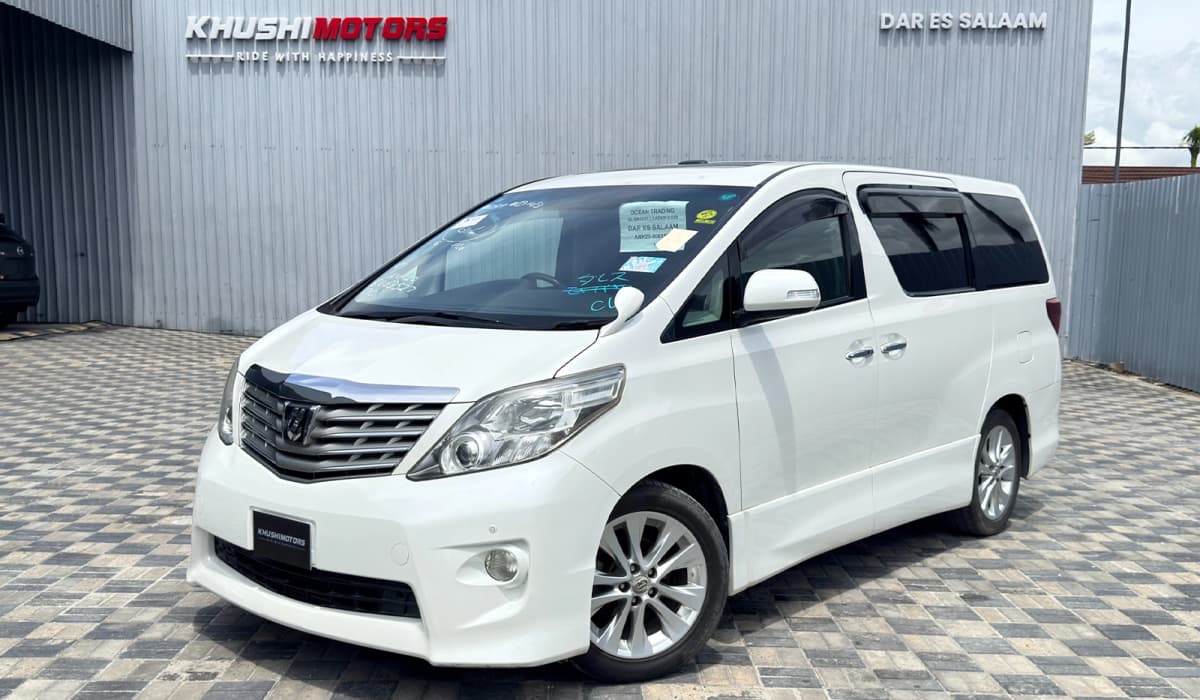 2009 Toyota Alphard image-14