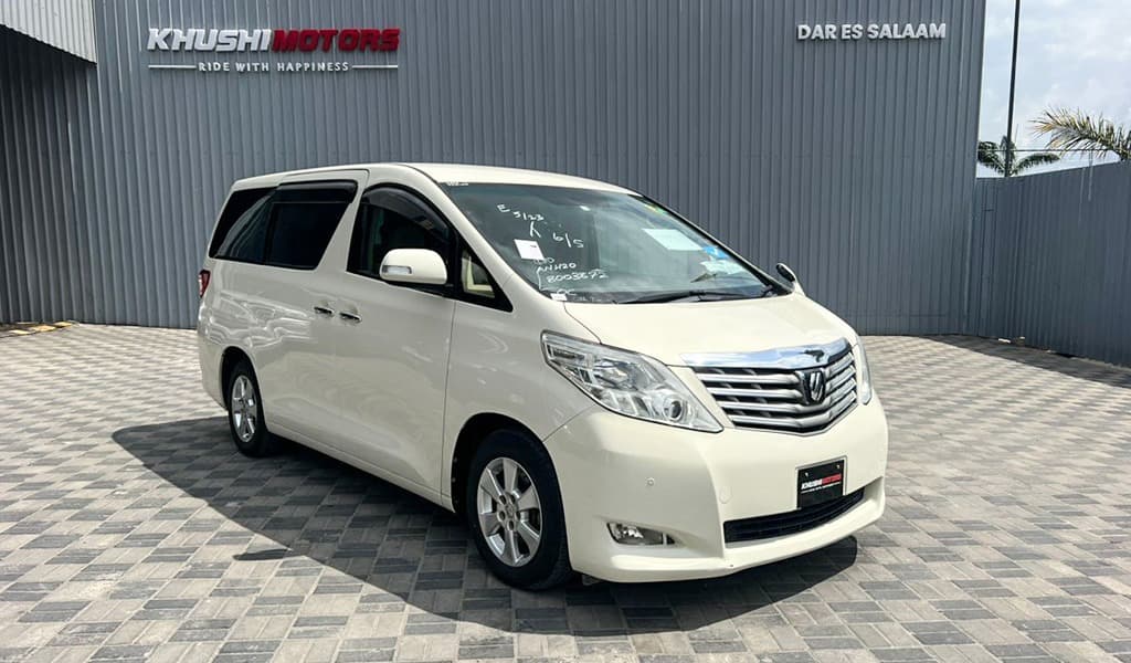 2008 Toyota Alphard X image-1