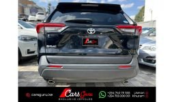 Toyota RAV4 2019 full